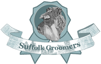 Suffolk Groomers – Mobile Dog Groomer